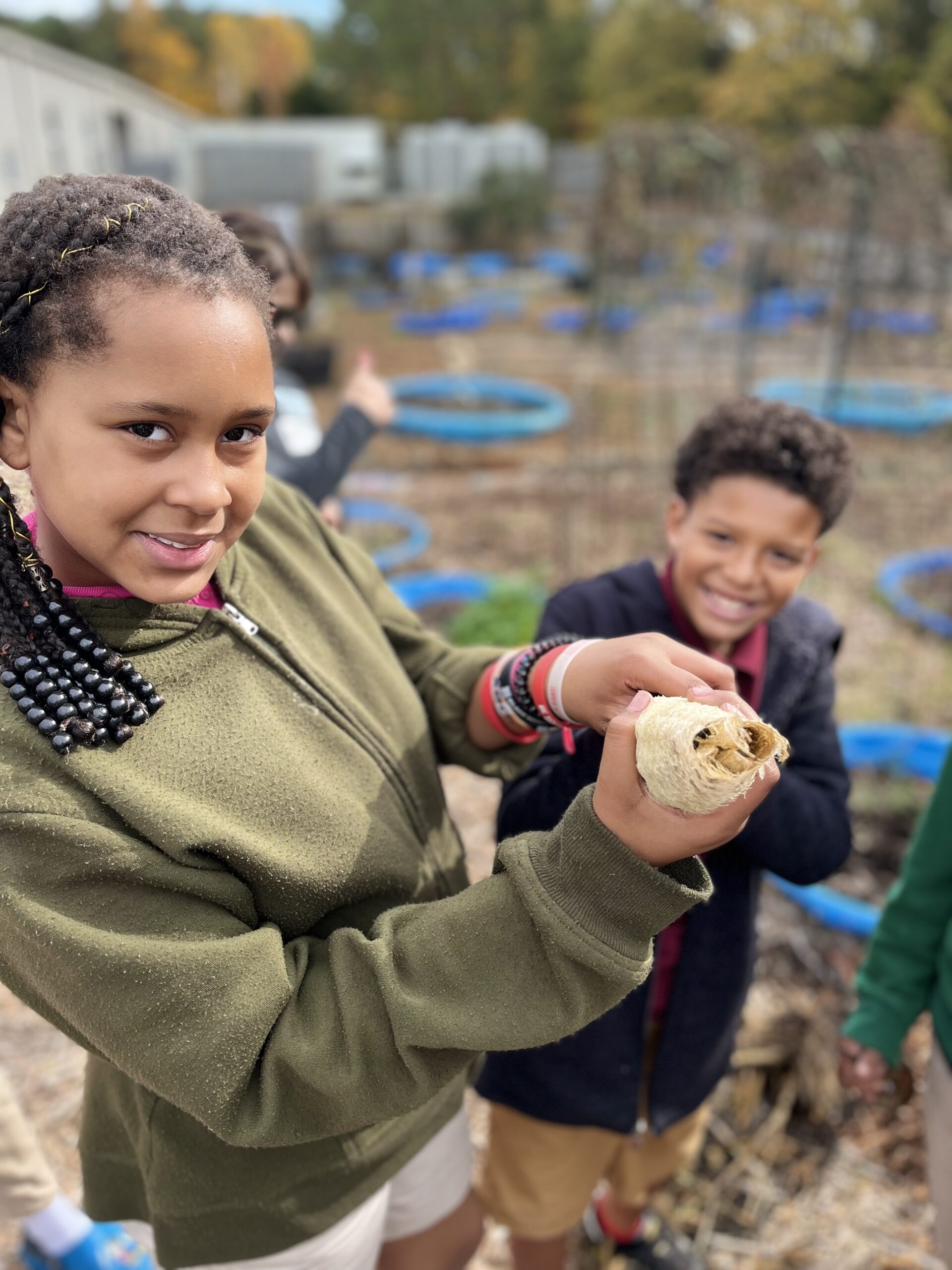 Quail Eggs & Outdoor Classroom The Foundation for Rock Hill Schools
